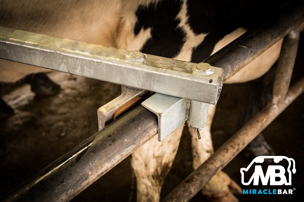 Clamp_in_use
