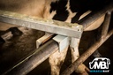 Pivotal Clamp for Miracle Bar